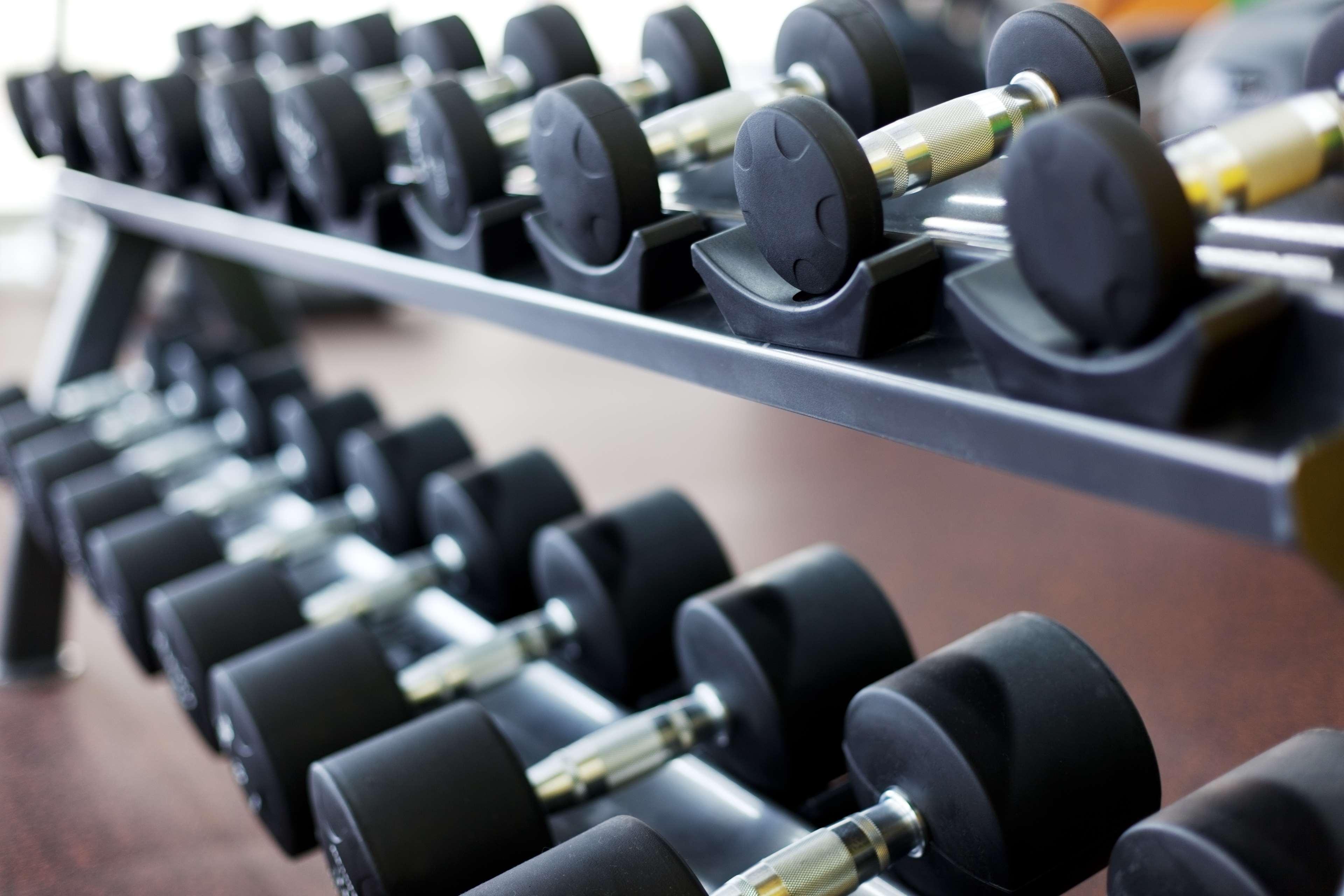 Ayla Grand Hotel Аль-Айн Екстер'єр фото Dumbbells on a rack